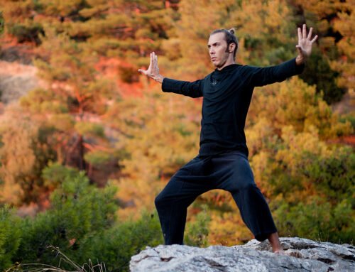 Private Qigong Healing Session