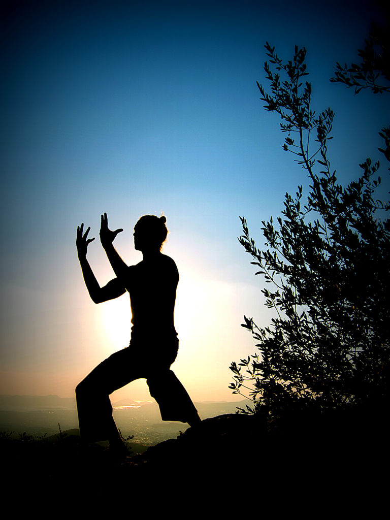 qigong video